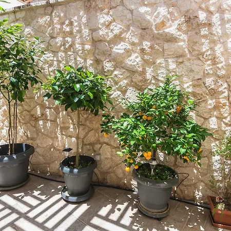 Dreamy House Near Acropolis Apartment